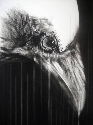 cover image of Civilian Cries